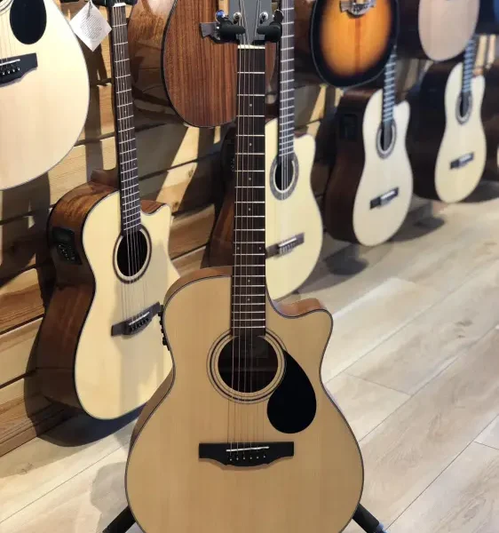 Kepma Eace Semi-acoustic Guitar With Free Capo, Strings sets and Kepma Padded Bag And Cable ( Natural )