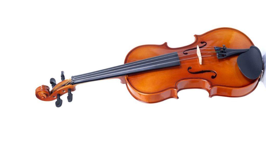 Authorized Distributor | SKYLARK Violin Price In Nepal | R&R Music. 4 SKYLARK violin price in Nepal